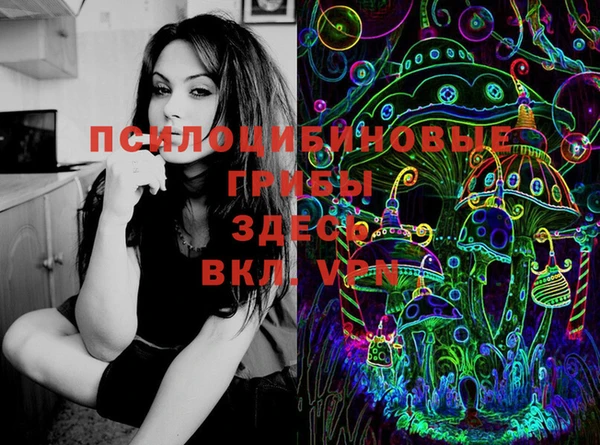 молекула духа Беломорск