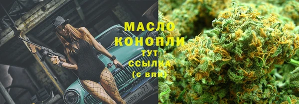 индика Балабаново