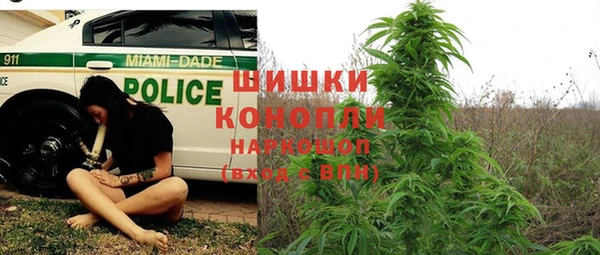 эйфоретик Белоозёрский