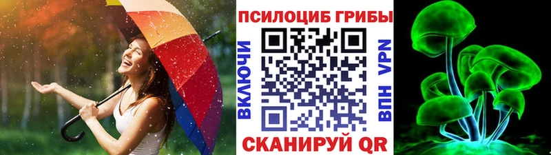 KRAKEN зеркало  Чернушка  Галлюциногенные грибы ЛСД 